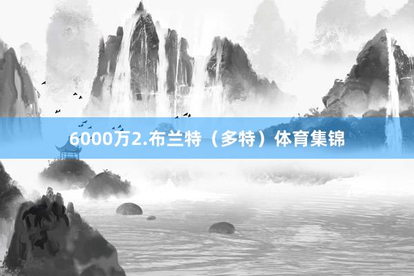 6000万2.布兰特（多特）体育集锦