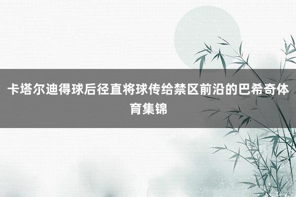卡塔尔迪得球后径直将球传给禁区前沿的巴希奇体育集锦