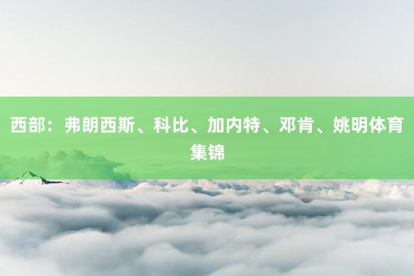 西部：弗朗西斯、科比、加内特、邓肯、姚明体育集锦