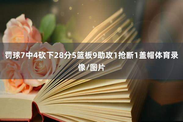 罚球7中4砍下28分5篮板9助攻1抢断1盖帽体育录像/图片