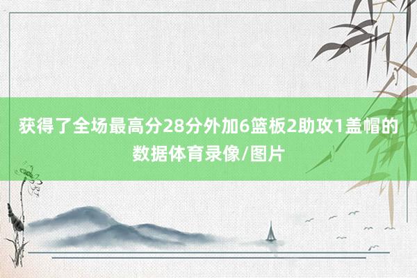 获得了全场最高分28分外加6篮板2助攻1盖帽的数据体育录像/图片