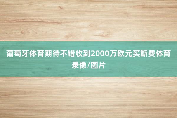 葡萄牙体育期待不错收到2000万欧元买断费体育录像/图片